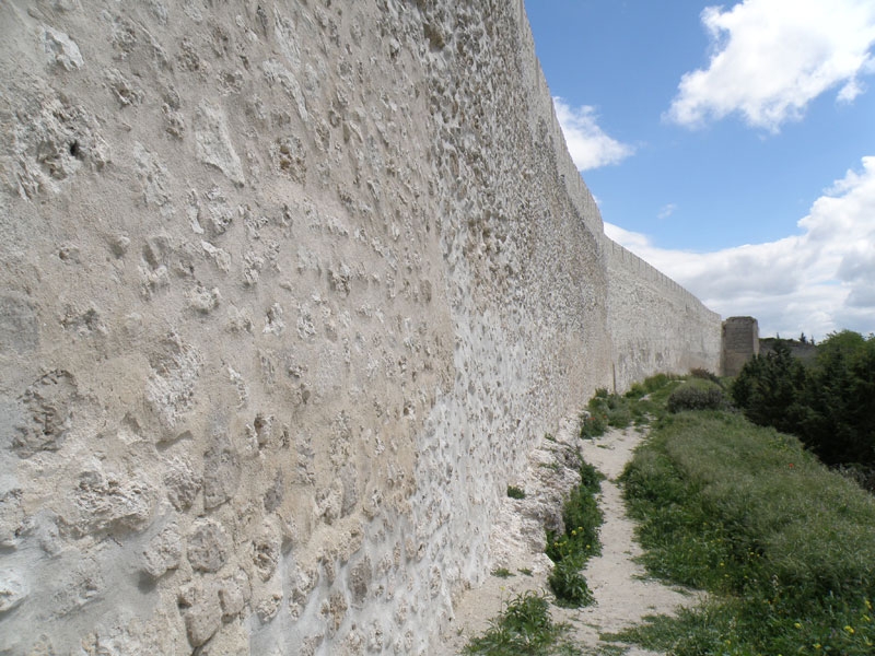 Vista exterior de la muralla junto a la Huerta del Duque